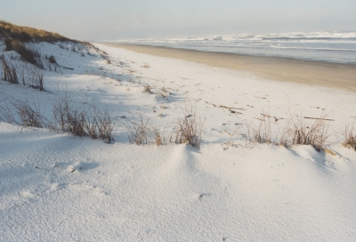 foto winterlandschap strand ameland