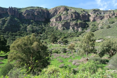 foto groen landschap met bergen op gran canaria