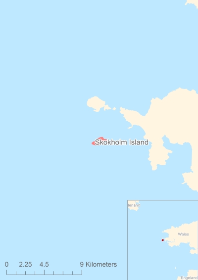 Ligging van het eiland Skokholm Island in Europa