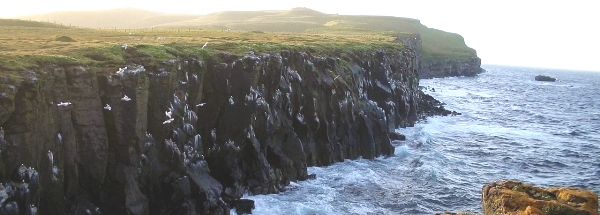accommodatie eiland Grímsey toerisme