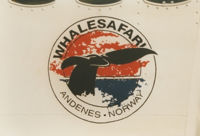 foto  logo whalesafari vesteralen andoya