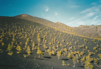 foto vulkaanhellingen in natuurgebied parque natural de cumbre vieja la palma la palma