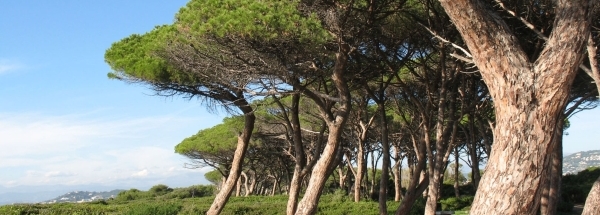 accommodatie eiland Île Sainte-Marguerite toerisme